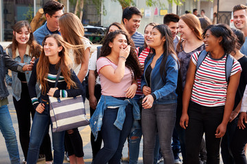 Group Of Smiling Male And Female College Students Outside School Building