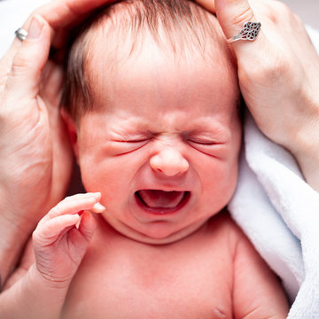 232 Best Llorando Images Stock Photos Vectors Adobe Stock