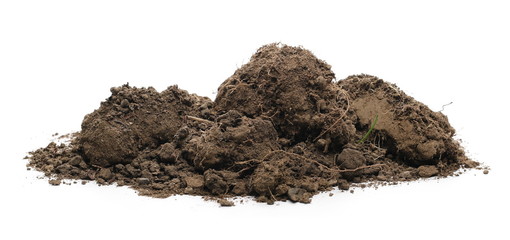 Dirt chunks, lumps isolated on white background