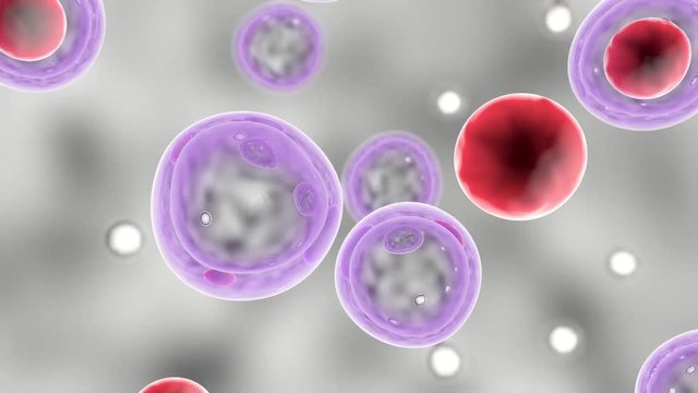 Embryonic stem cells , Cellular therapy , Regeneration , Disease treatment