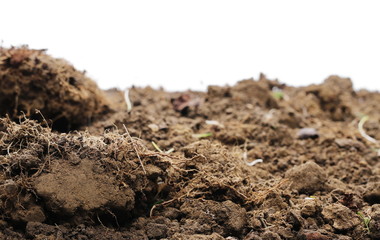Dirt chunks, lumps isolated on white background