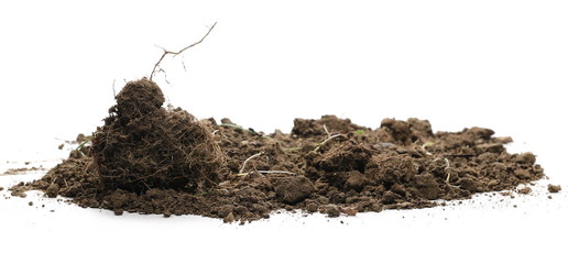 Dirt chunks, lumps isolated on white background
