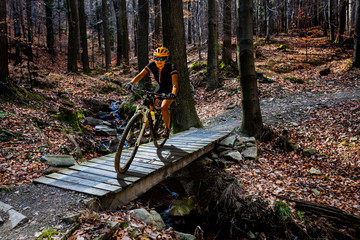 Mountain biking woman riding on bike in summer mountains forest landscape. Woman cycling MTB flow trail track. Outdoor sport activity.