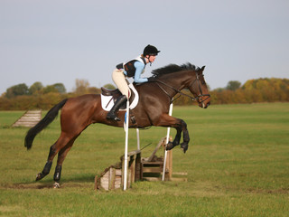 Cross Country Jump