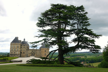 Grand c&egrave;dre du ch&acirc;teau de Hautefort