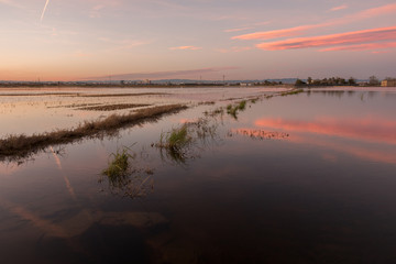 Landscape and reflections on water in Albufera lagoon, in Natural Park of Albufera, Valencia, Spain