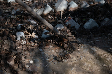 Man collects dry leaves with a rake