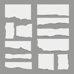 Ripped white paper. Torn light scrap note paper for notes pieces vector realistic pictures for banners. Illustration of torn paper, ripped page