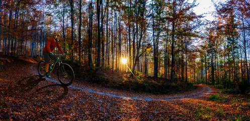 Golden shine autumn panorama scene in the forest, the morning sun shining through the trees, blue sky in background.