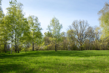 Great spring meadow