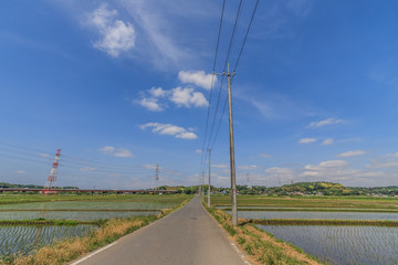 春の四街道市の田園風景