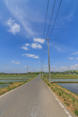 Fototapeta premium 春の四街道市の田園風景