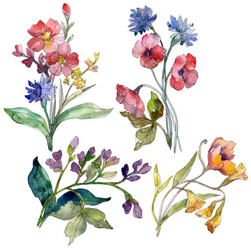 Wildflower bouquet floral botanical flowers. Watercolor background set. Isolated wildflowers illustration element.