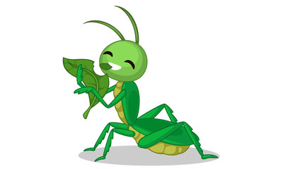 grasshopper eating leaf cartoon vector illustration