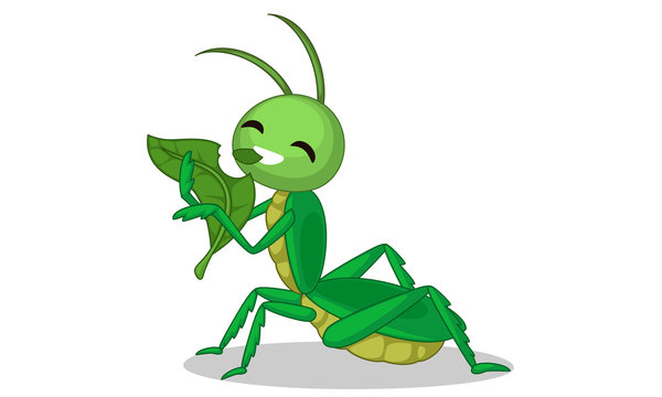 Grasshopper Cartoon Images – Browse 5,622 Stock Photos, Vectors, and Video  | Adobe Stock