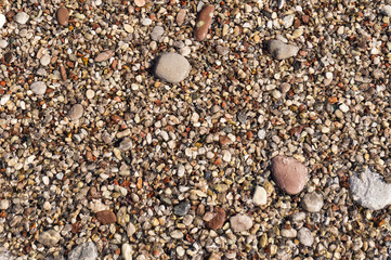Background from small multicolored sea pebbles