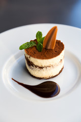 Italian Tiramisu Dessert with Fresh Mint Leaf