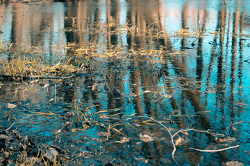 Spring landscape in teal-orange tone, city park, nature wakes up in spring