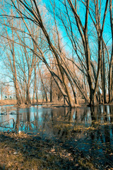Spring landscape in teal-orange tone, city park, nature wakes up in spring