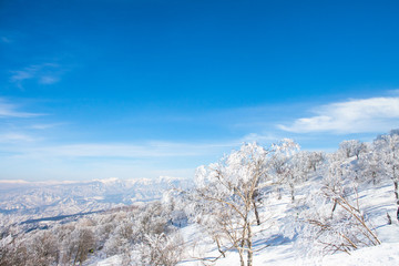 Landscape and Mountain view of Nozawa Onsen in winter , Nagano, Japan.