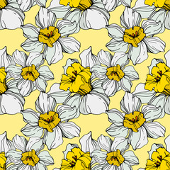 Vector White narcissus floral botanical flower. Engraved ink art. Seamless background pattern.