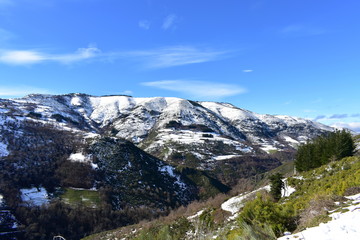 Fototapeta na wymiar Winter landscape with snowy mountain and trees. Blue sky, Lugo, Galicia, Spain.