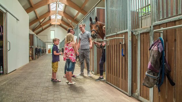 A beautiful bron horse is looking out of the stable. The whole family is watching him.