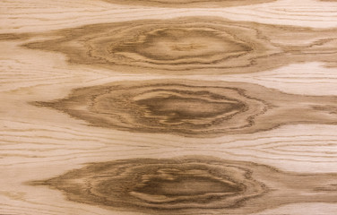 Creative idea for background. wood veneer texture, oak