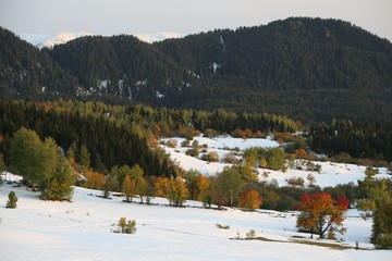 autumn photos taken on a snowy day..savsat/artvin/turkey