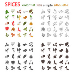 Big spices line, simple, silhouette and color flat icons for web and mobile design
