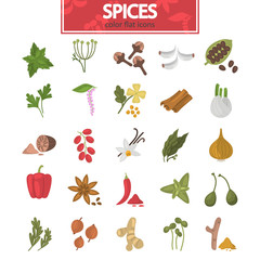 Different spices color flat icons set for web and mobile design