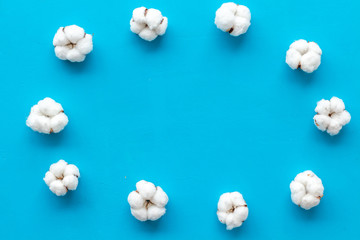 Cotton flowers frame on blue background top view copy space