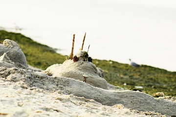 sand castle on the beach near the sea