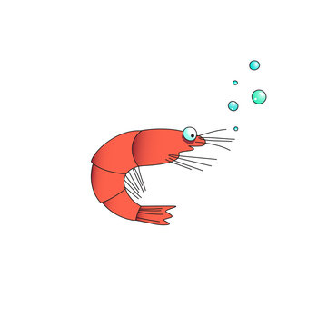 Vector image of a cartoon funny shrimp with bubbles. Isolated illustration. EPS 10.
