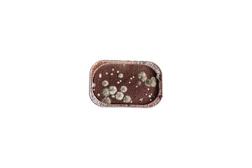 Chocolate with molded