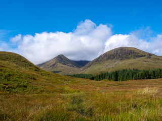 nature with mountains and forest on marshland terrain