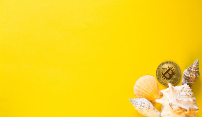 Bitcoin's vacation on the beach with seashells