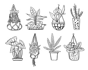 Different houseplants in hanging flowerpots and pots. Vector hand drawn outline black and white sketch illustration