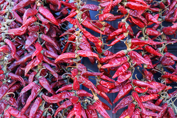 Fototapeta premium bunches of red hot peppers hanging on a string on the wall of a house in the hungarian old town of Santendere