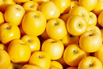 Äpfel der Sorte Golden Delicius am Wochenmarkt