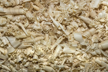 A lot of wooden shavings close-up in full screen. Woodworking waste.