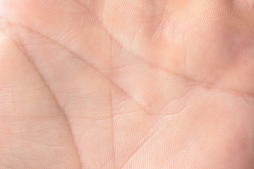 Close up macro image of the skin surface texture of human hands palms