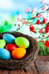 Colored Easter eggs in the nest on wooden table and springtime nature background