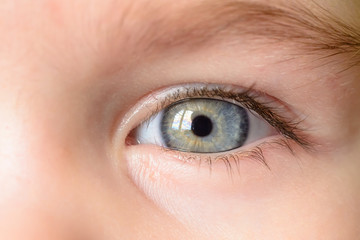 Obraz premium A photo of a gray eye and an eyebrow of a little girl close-up