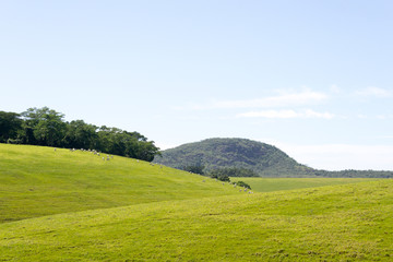 Calm brazilian landscape. On a road trip in the Espirito Santo state we found this green peaceful valley with a nice little river