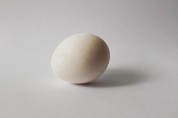 one white egg on white background