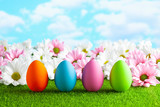 Easter eggs and flowers on the grass and blue sky background
