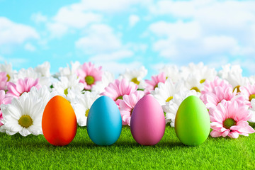 Fototapeta na wymiar Easter eggs and flowers on the grass and blue sky background