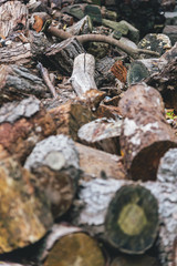 Pile of woodfire with focus in the back of the image with shallow depth of field