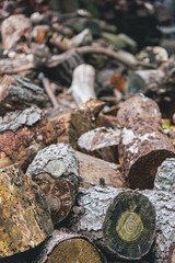 Pile of woodfire with focus on the front of the image with shallow depth of field